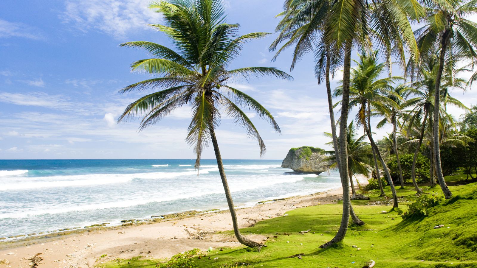 Palm trees border a sandy, grassy beach with waves and a large offshore rock under a partly cloudy blue sky.