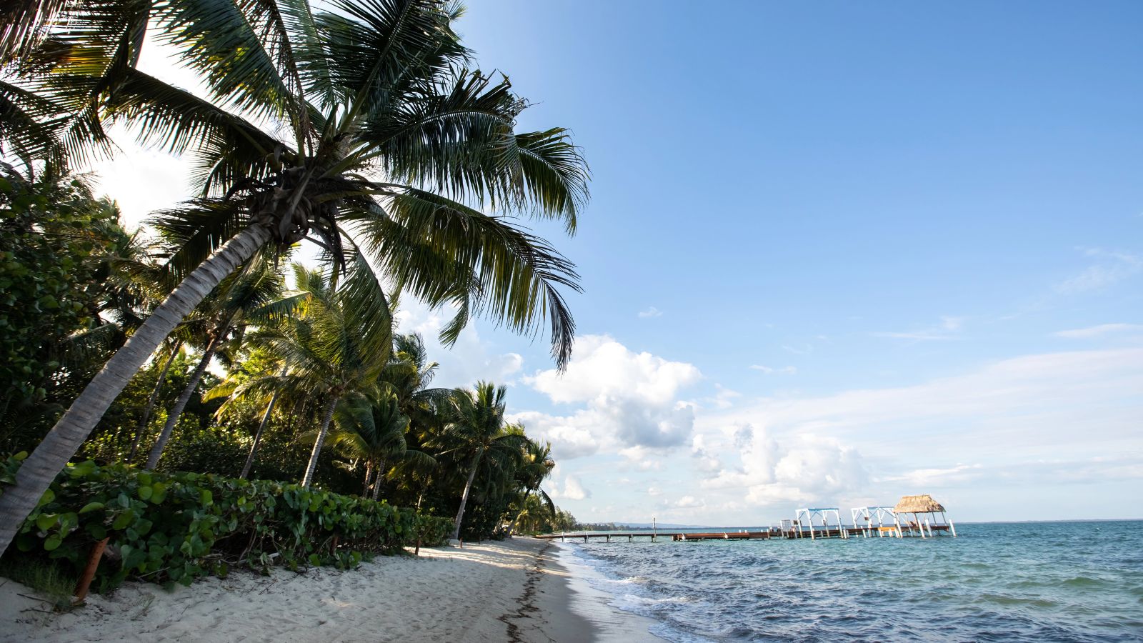 Sandy beach with palm trees, green foliage, and a pier stretching into the ocean beneath a blue sky with scattered clouds.