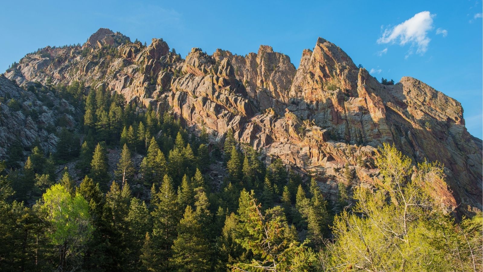 Jagged rock formations tower over a dense evergreen forest beneath a clear blue sky dotted with a few clouds.