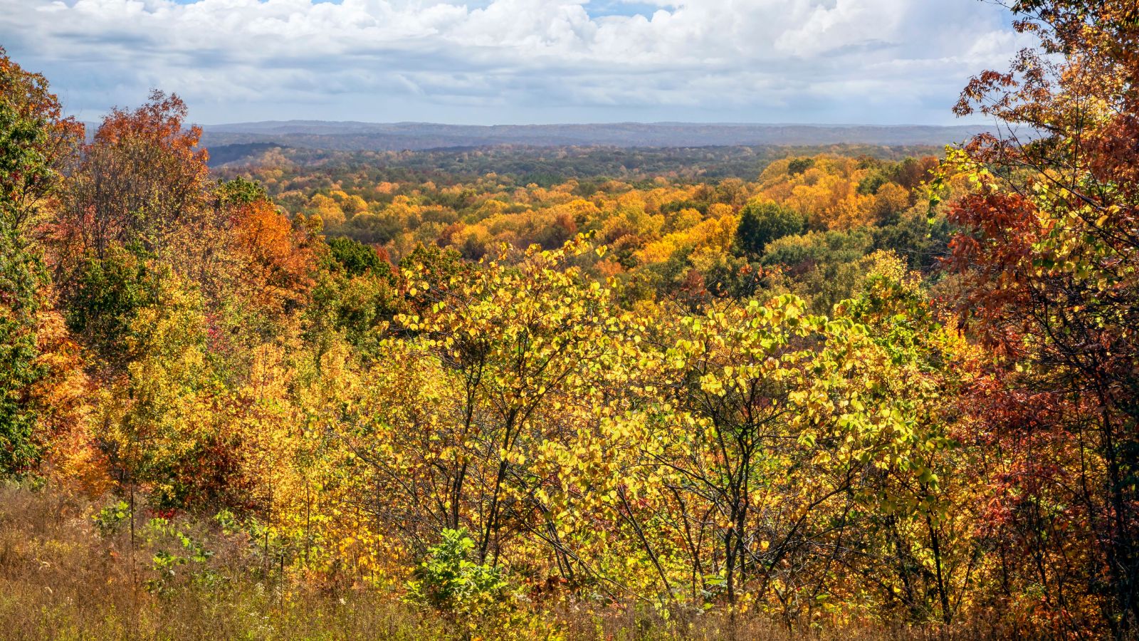 Autumn forest with yellow, orange, and red foliage beneath a partly cloudy sky.