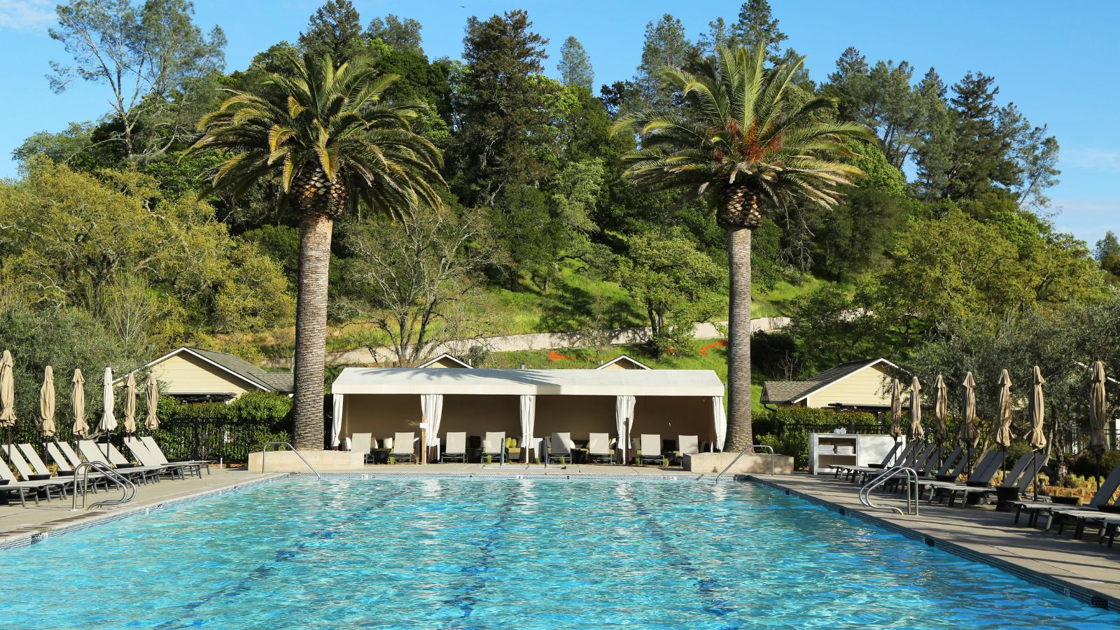 A swimming pool lined with lounge chairs, umbrellas, palm trees, cabanas, and green trees in the background.