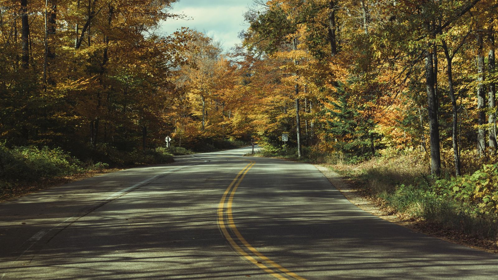 A two-lane road winds through a forest of trees with yellow, orange, and green autumn leaves.