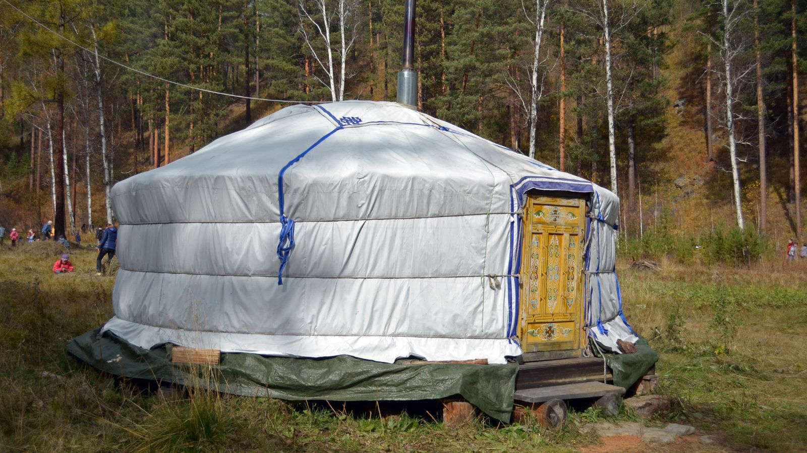 A round yurt with a yellow decorated door sits in a grassy clearing bordered by trees.
