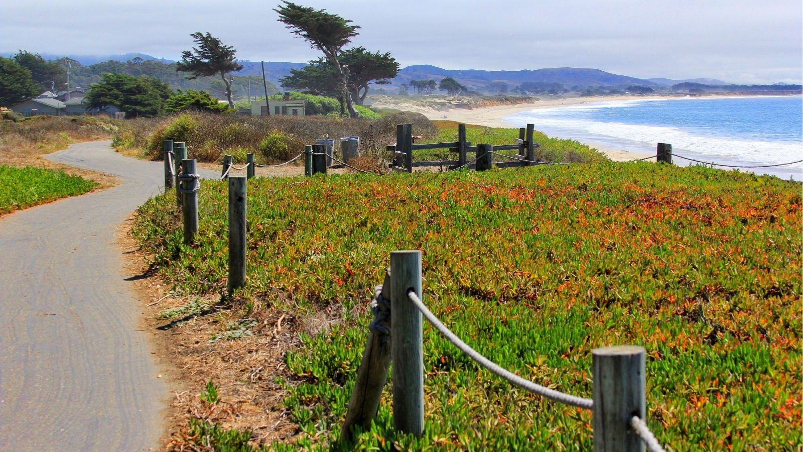 A paved path with rope and wooden posts runs past coastal vegetation toward the ocean, with mountains and trees behind.