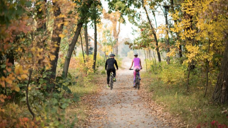 Two helmeted cyclists ride along a tree-lined autumn path covered in fallen leaves and colorful foliage.