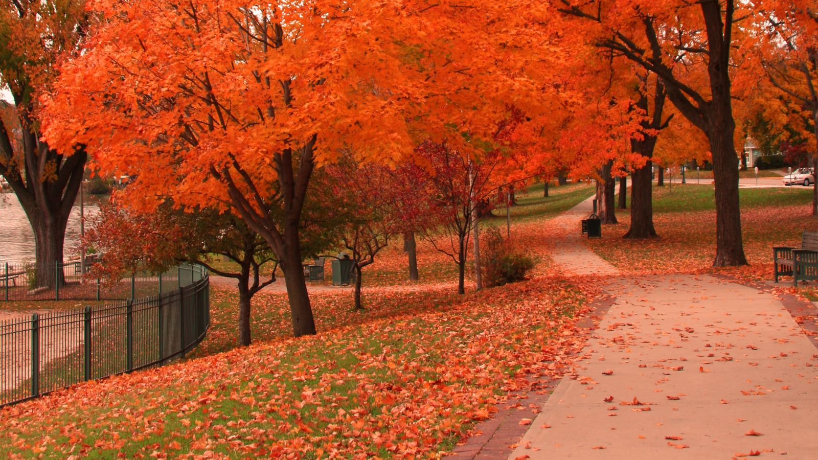A curved park path runs beside grass and trees with bright orange autumn leaves, some scattered on the ground.