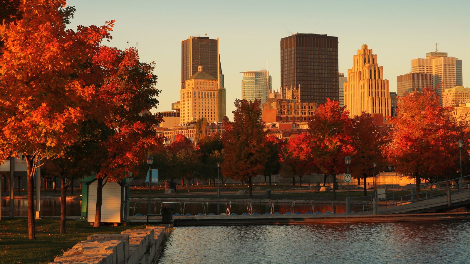 Downtown skyline with tall buildings and autumn trees by the waterfront at sunset.