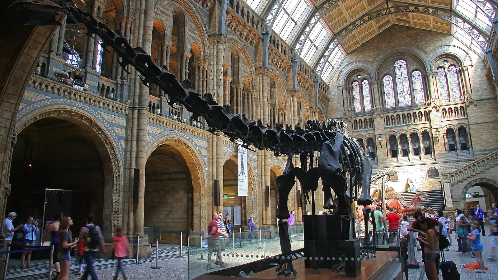 A large dinosaur skeleton stands in a historic museum hall with arched windows and visitors walking nearby.