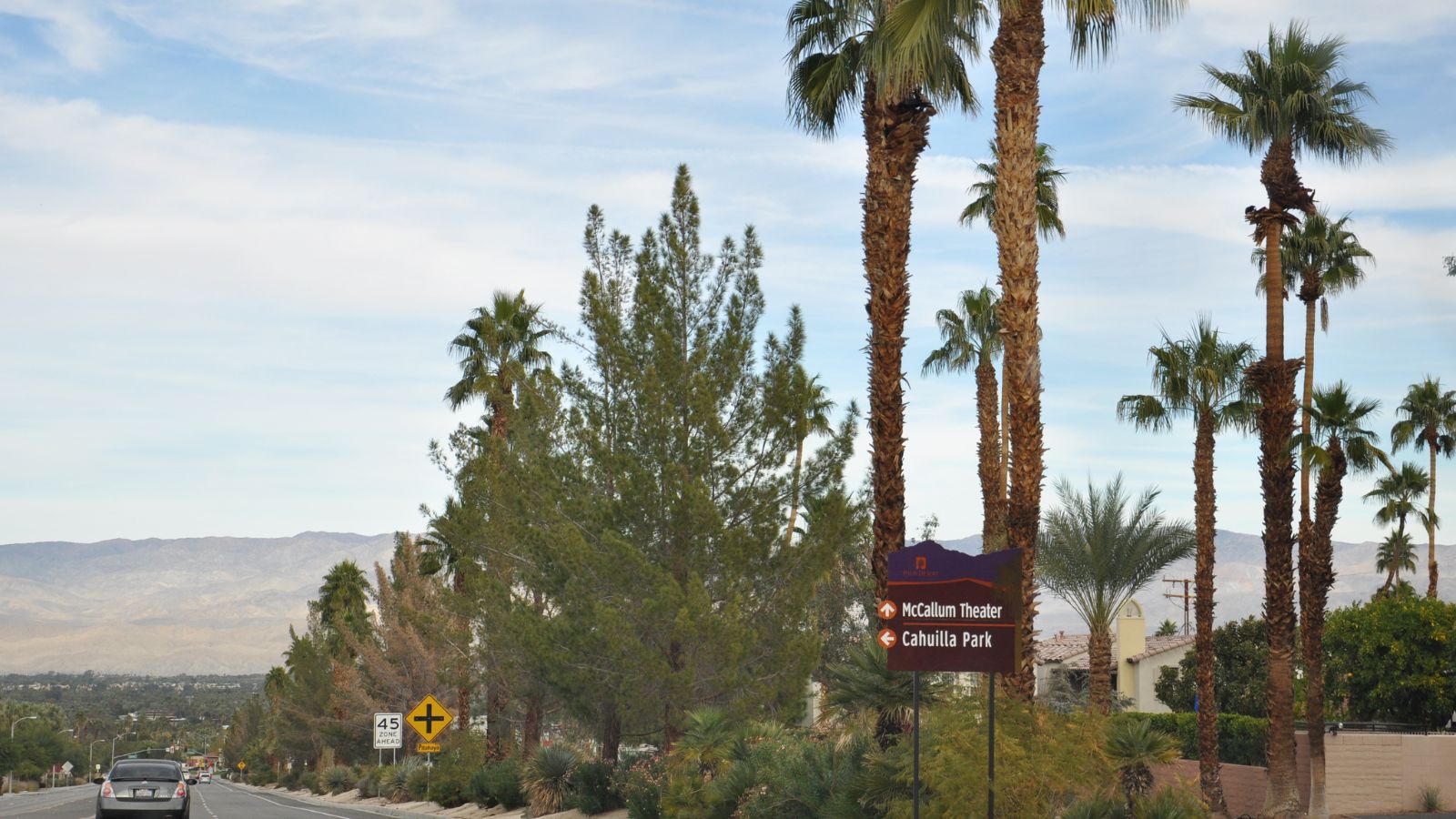 Palm-lined road with a sign for McCallum Theater and Cahuilla Park, mountains in the background.