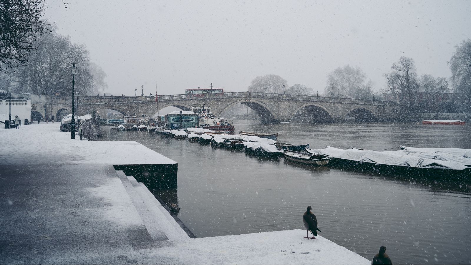 Snow falls by a river with docked boats, a stone bridge in back, and a bird on the snowy riverbank.