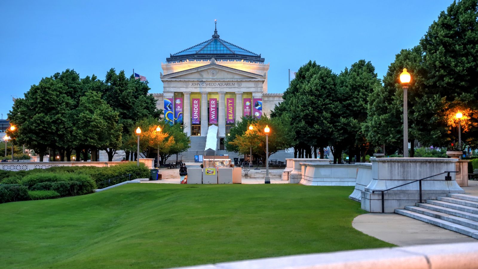 The Shedd Aquarium in Chicago stands at dusk, framed by trees and lamps, viewed from a manicured lawn.
