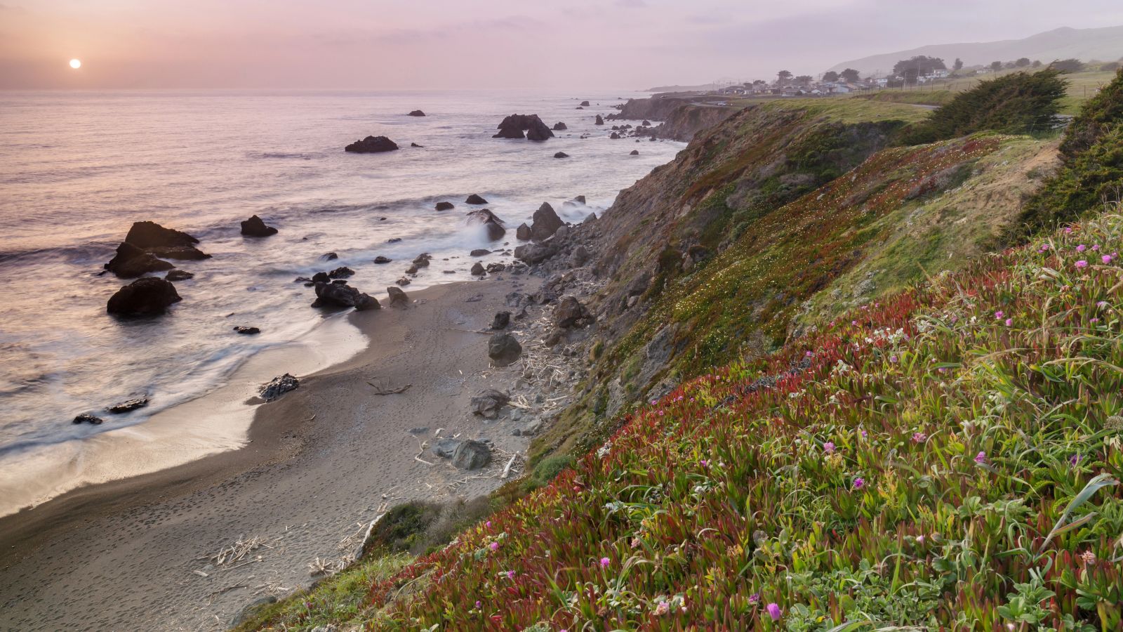 A coastal cliff with vivid plants overlooks a rocky, driftwood-strewn beach at sunset, as waves roll in under a hazy sky.