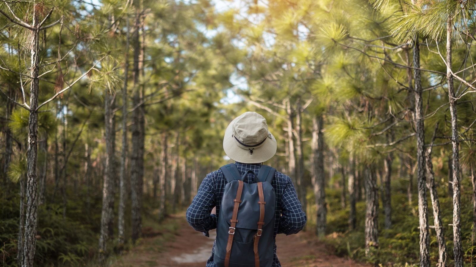 A photo of Australian bushland trail; hiker with backpack and hat walking under bright sun.