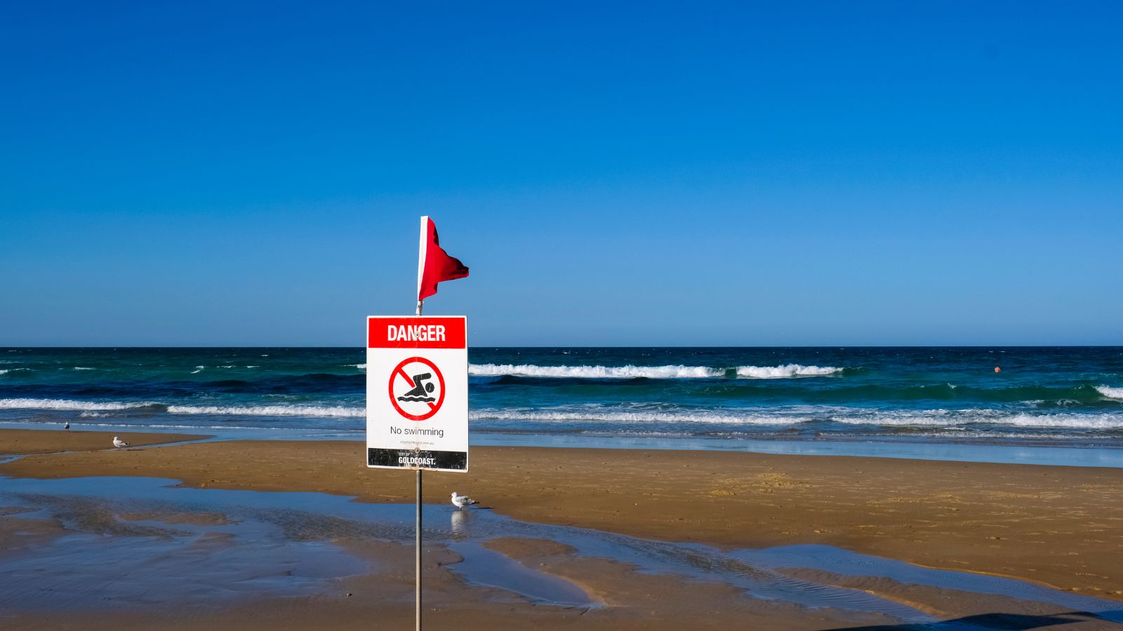 A photo of Beach scene in Australia with warning signs about rip currents.