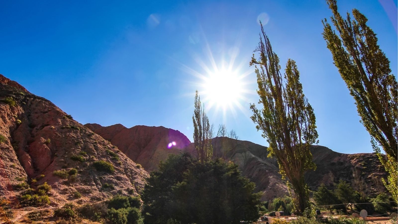 Bright sun shines in a clear blue sky above rocky hills, slender trees, and some greenery in the foreground.