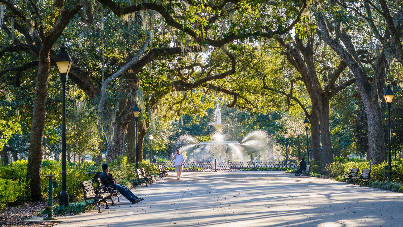 A photo of Savannah public square benches trees.