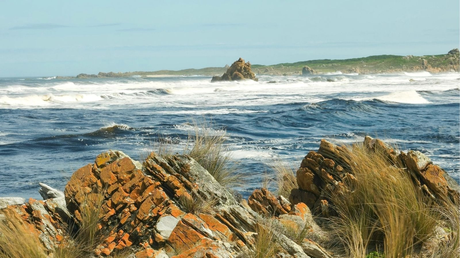 Rocky shoreline with orange rocks and grasses, crashing ocean waves, and a distant coast beneath a clear sky.