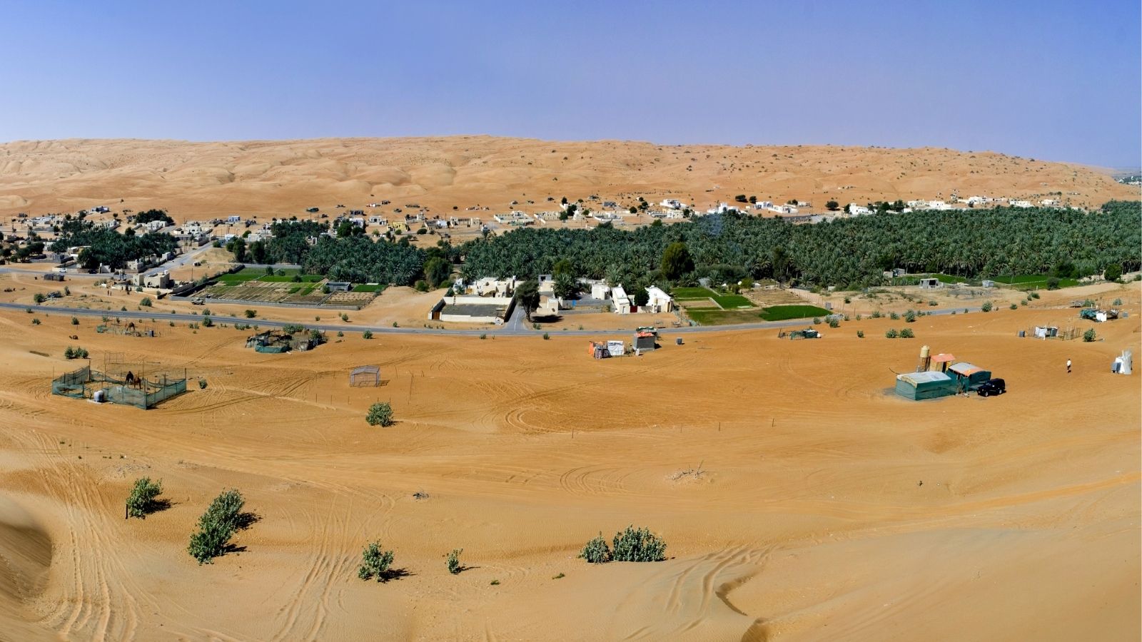 A small town with palm trees and buildings sits beside desert sand dunes beneath a clear blue sky.