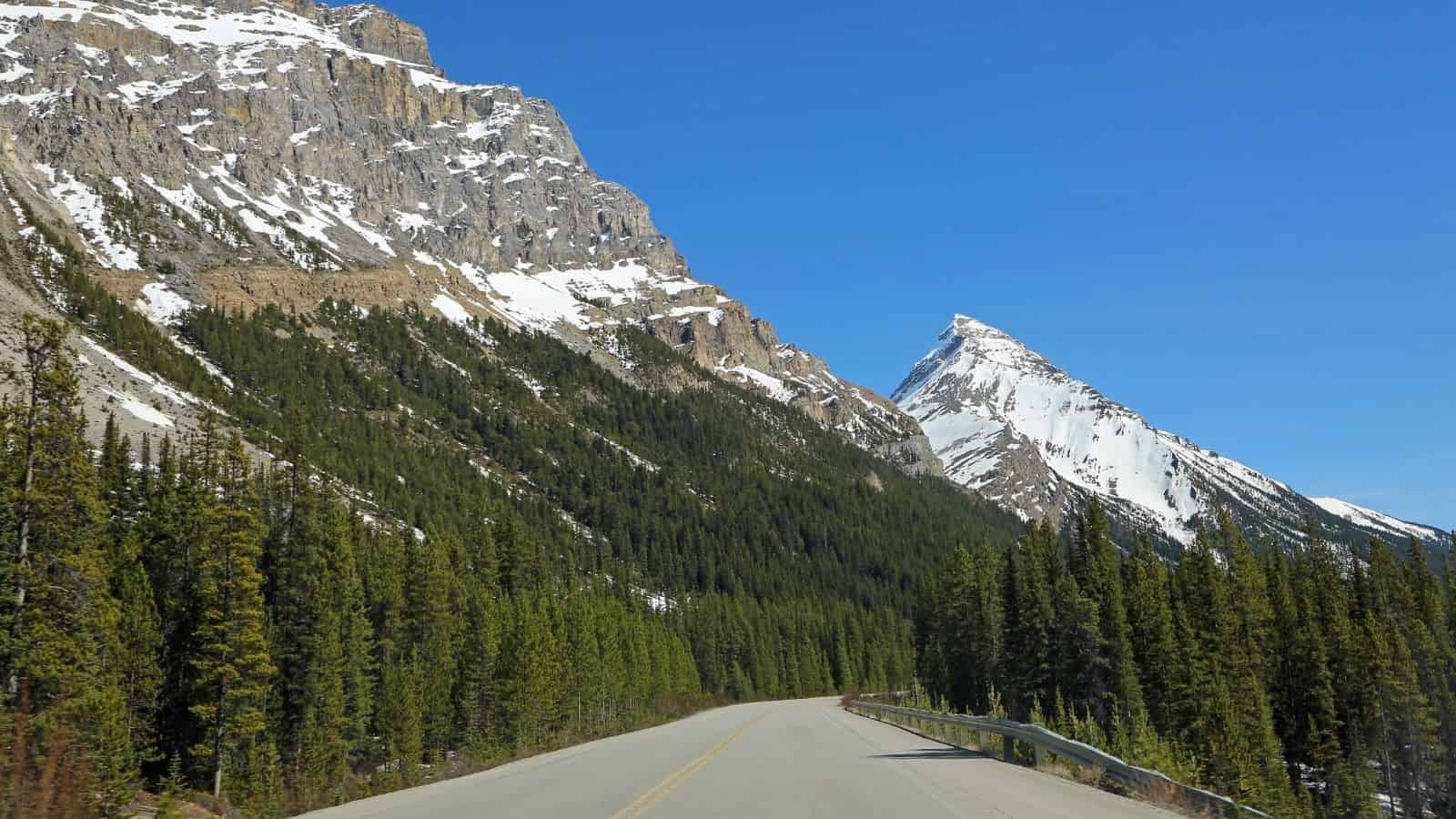 A paved road leads toward snow-capped mountains and pine forests under a clear blue sky.