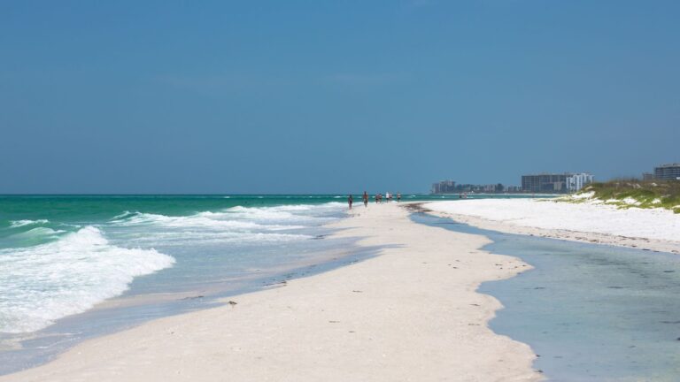 A photo of an overview of the Florida Beach.