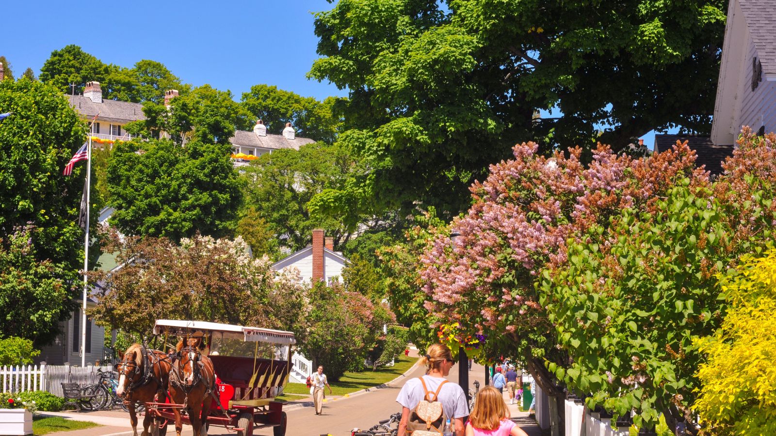 A photo of Mackinac Island in a broad light.