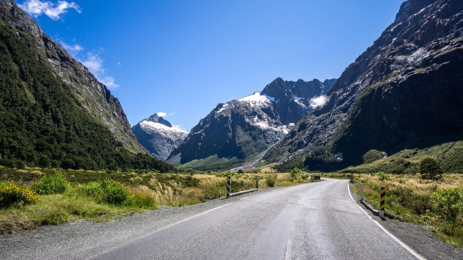 An image of Milford road along hollyford valley.