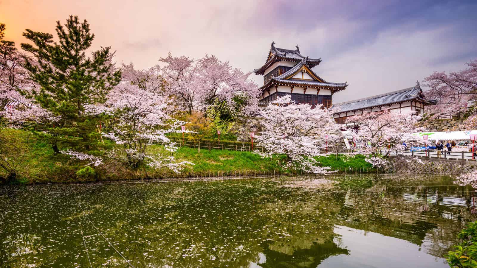Traditional Japanese building and cherry blossoms reflected in a calm pond beneath a pastel sky.