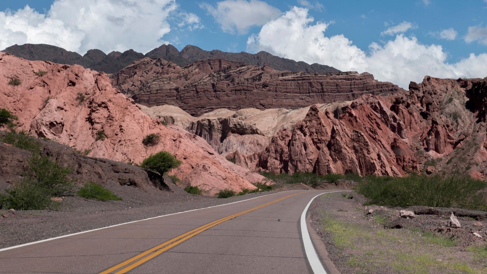 An image of a couple looking at the Seattle skyline.
