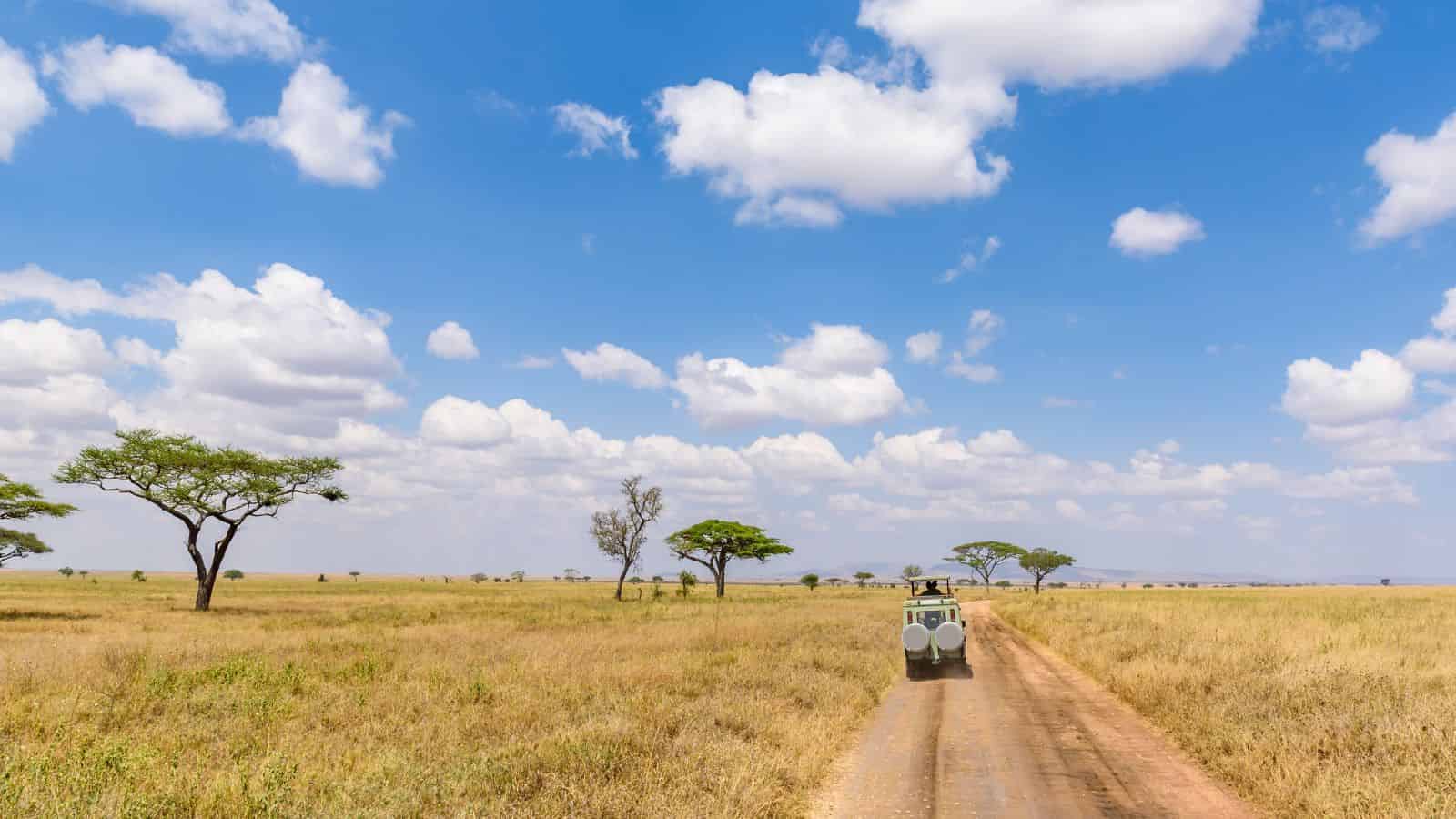 A white safari vehicle travels a dirt road through grassy savanna with scattered trees beneath a blue, cloud-streaked sky.