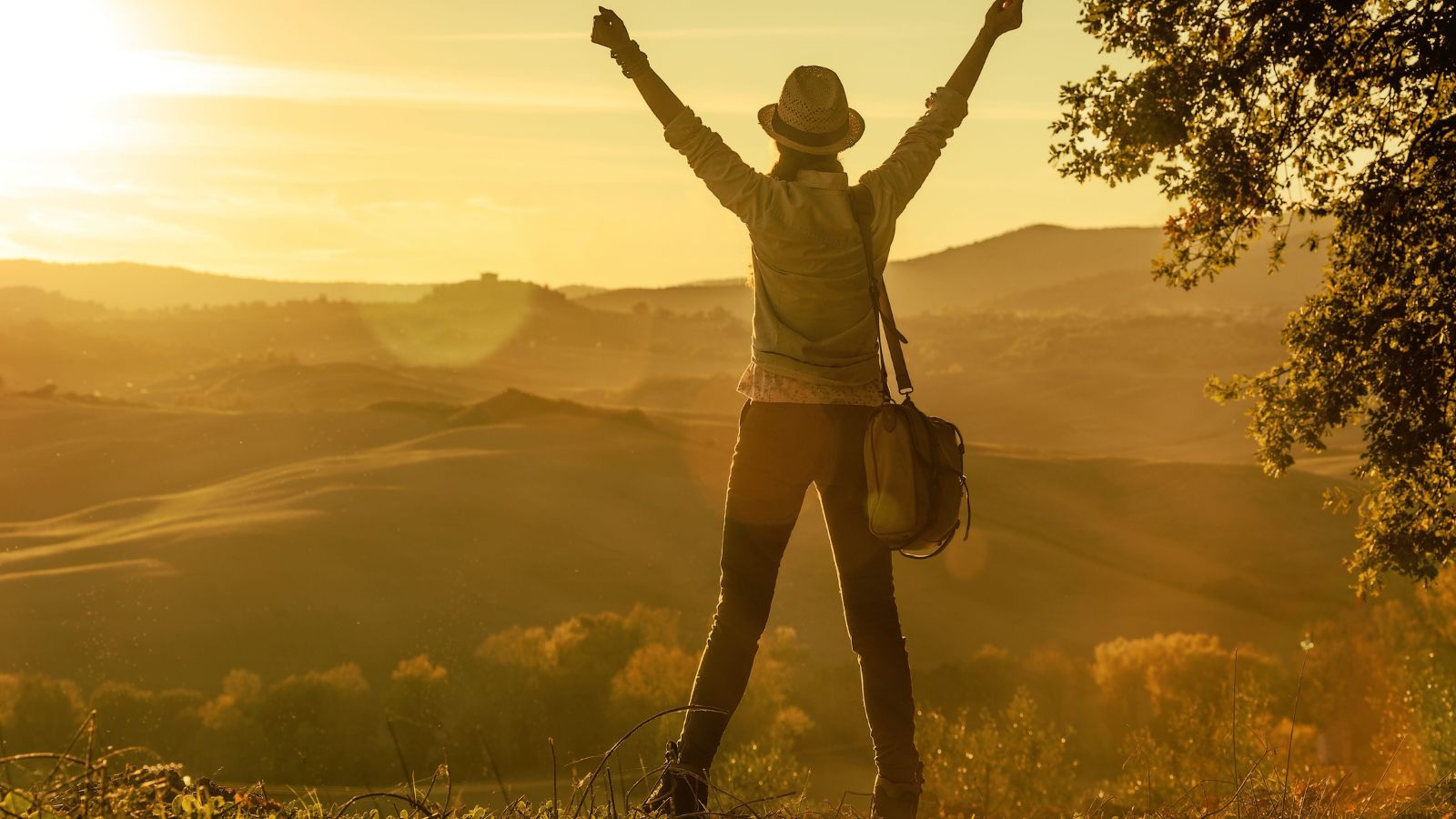 A photo of a Traveler standing at scenic overlook at sunset, peaceful and confident stance.