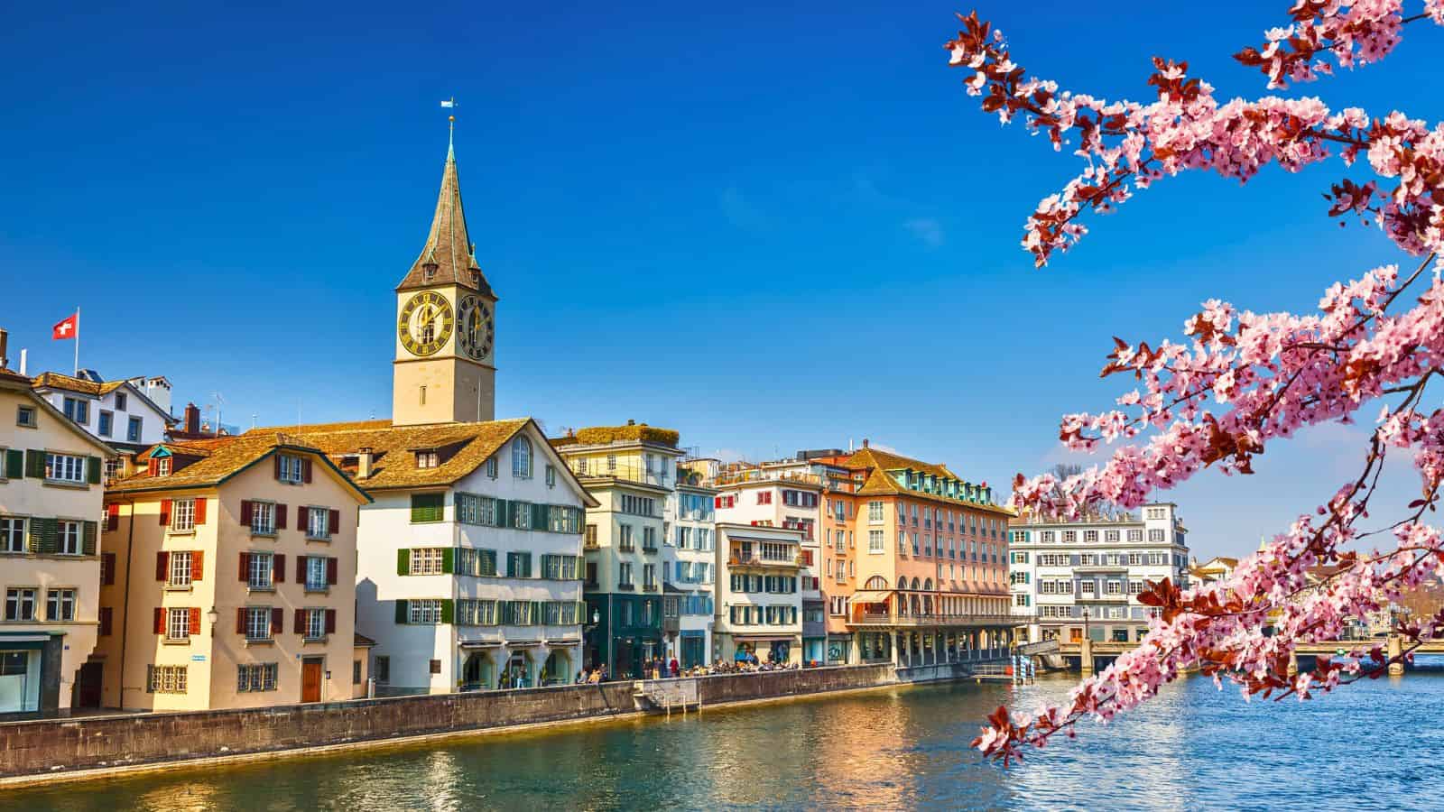 A scenic view of Zurich, Switzerland, featuring the Limmat River and historical buildings with a prominent clock tower. Pink cherry blossoms frame the right side against a clear blue sky.