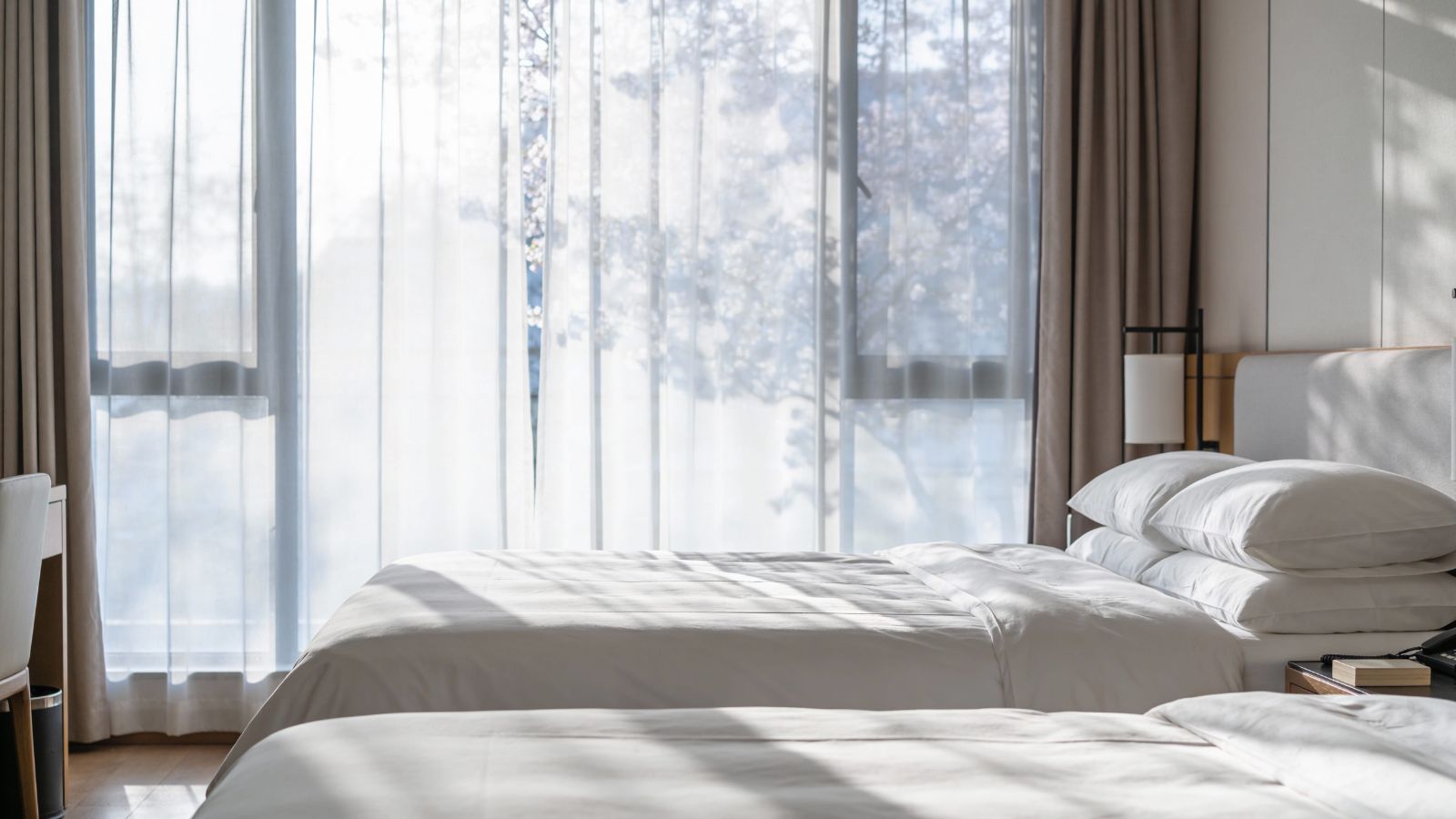 A photo of simple hotel room balanced layout sunlight.