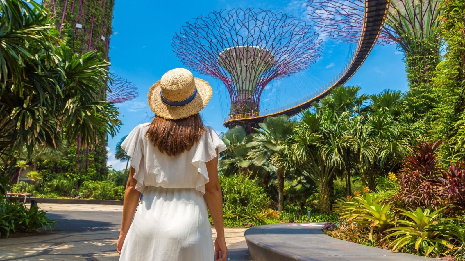 A woman in white and a straw hat stands in a garden, looking at Supertree Grove in Singapore beneath a clear blue sky.