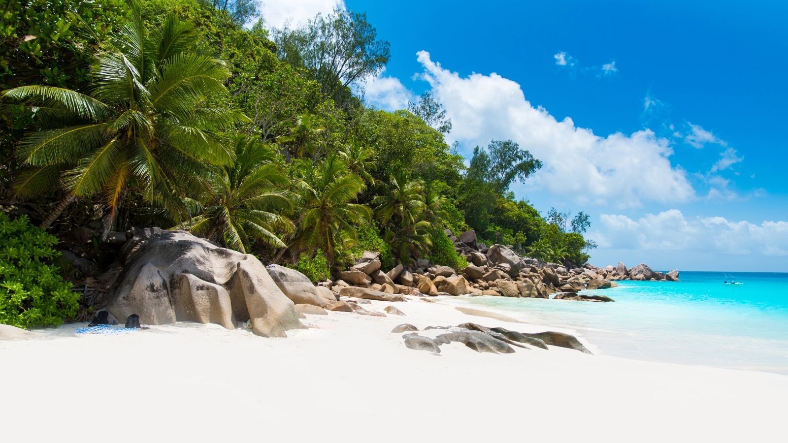 Palm-lined tropical beach with granite boulders and bright turquoise water at Anse Georgette.