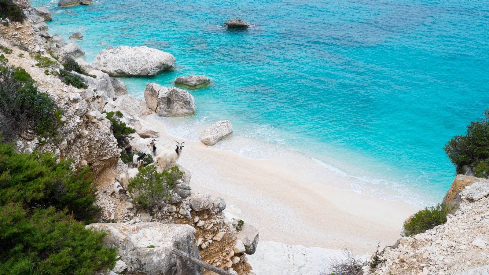Small white sand cove with turquoise water and rocky cliffs at Cala Goloritzé in Sardinia.