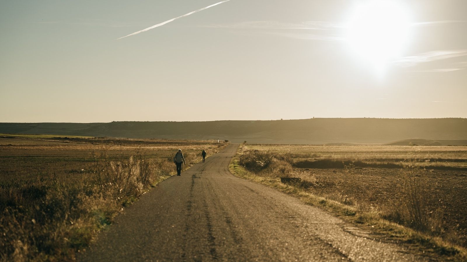 A hand puts a coin in a pink piggy bank on a suitcase, with sandy beach and ocean in the background.
