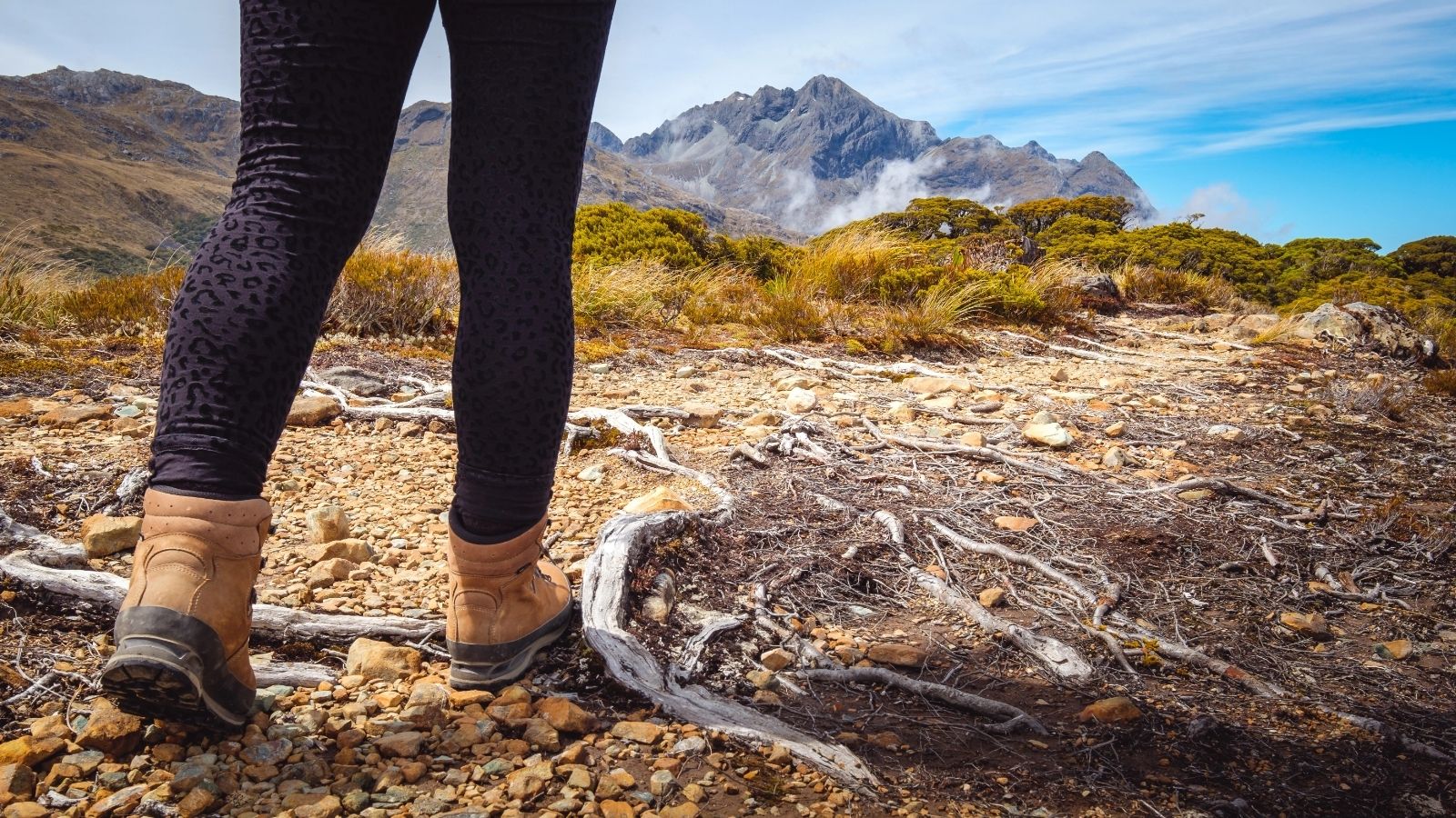 An image of a person walking on a trail.