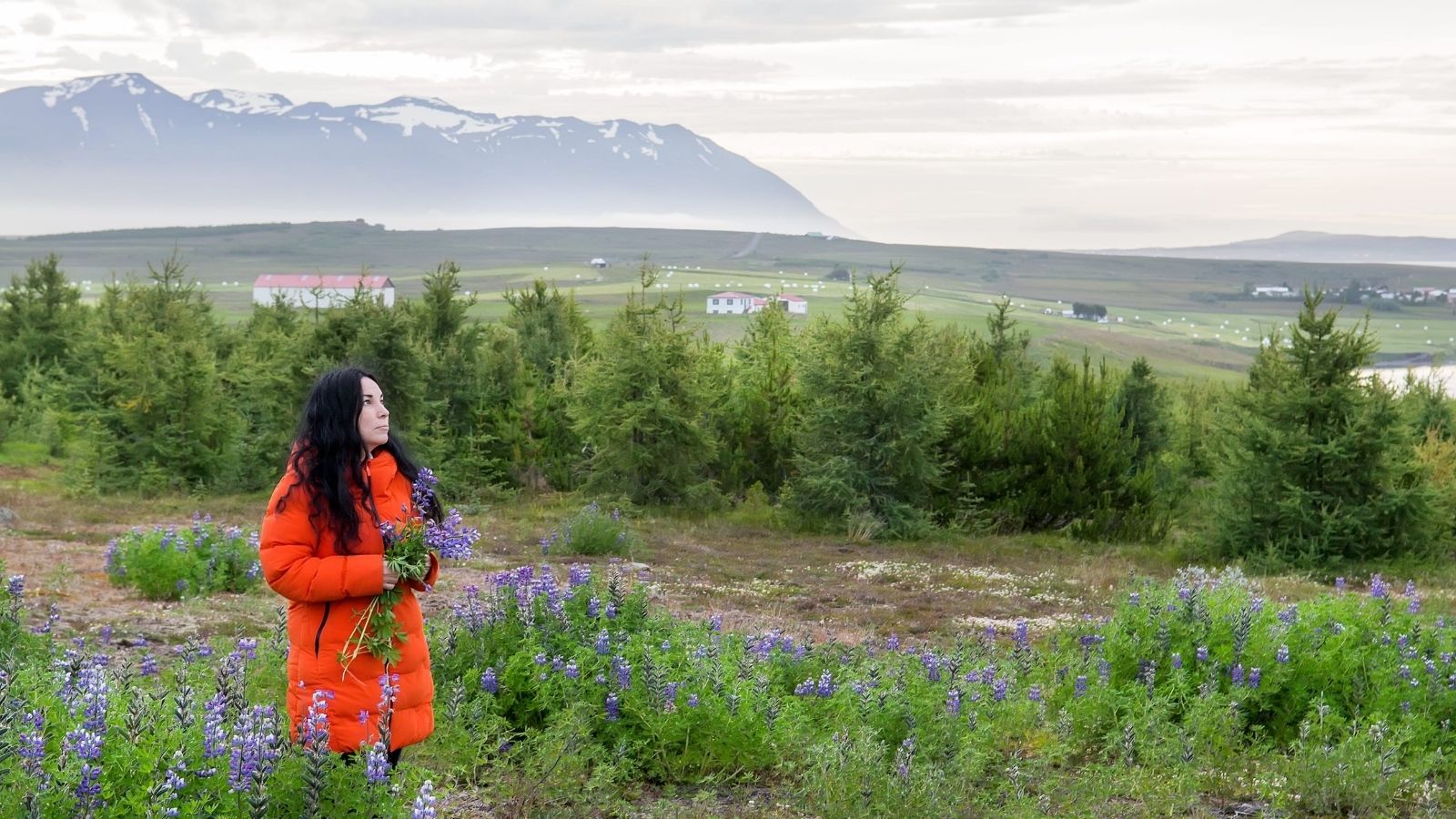 A person in an orange coat stands in a field of purple wildflowers, with trees, houses, mountains, and a cloudy sky behind.