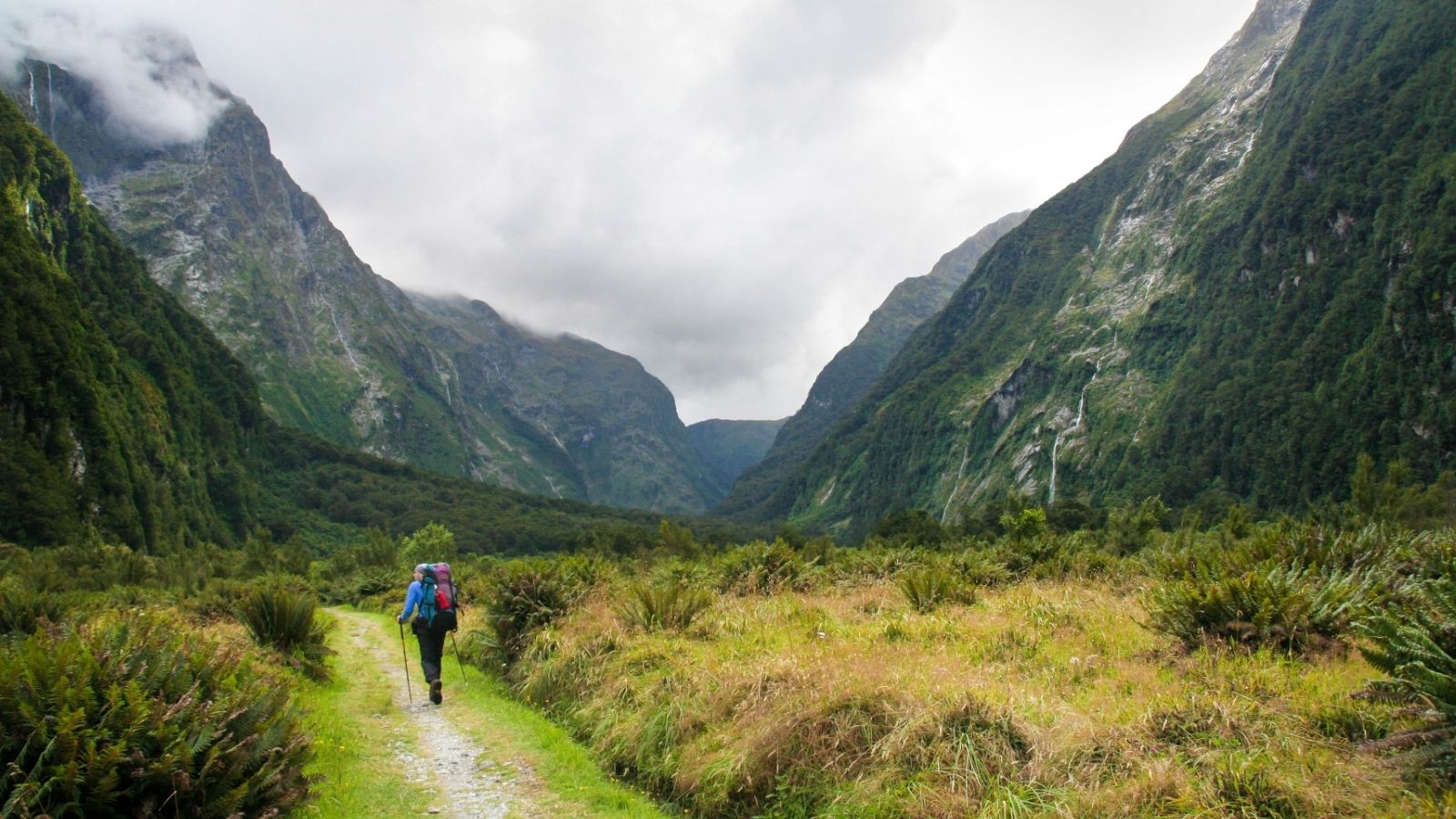 Single hiker walking along a trail through a lush valley on the Milford Track in New Zealand.