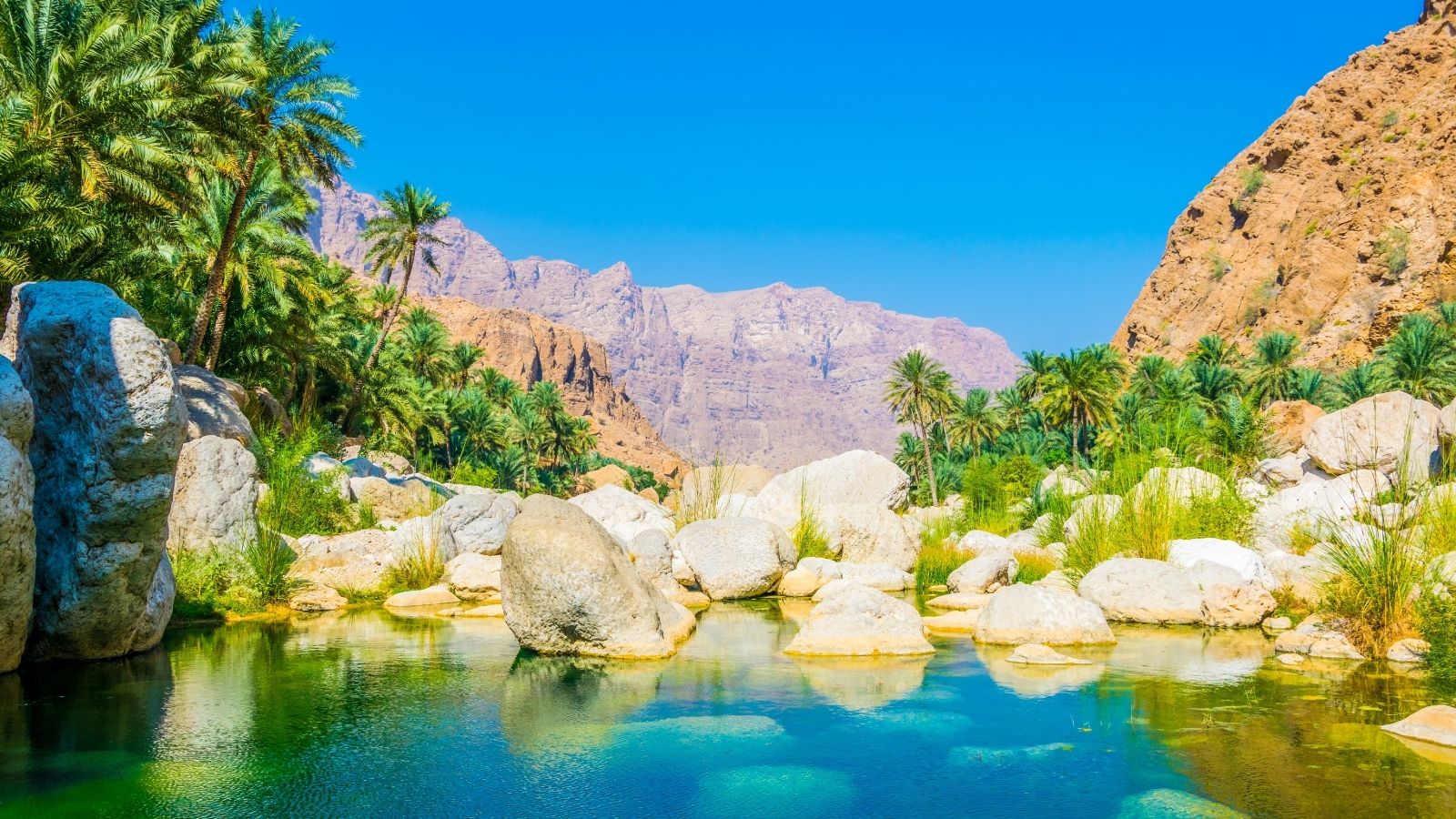A clear natural pool ringed by rocks, greenery, and palms sits in a desert mountain landscape beneath a bright blue sky.