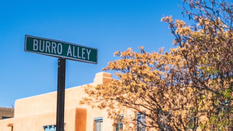 Burro Alley" street sign stands before an adobe building, with tree branches and a clear blue sky in the background.