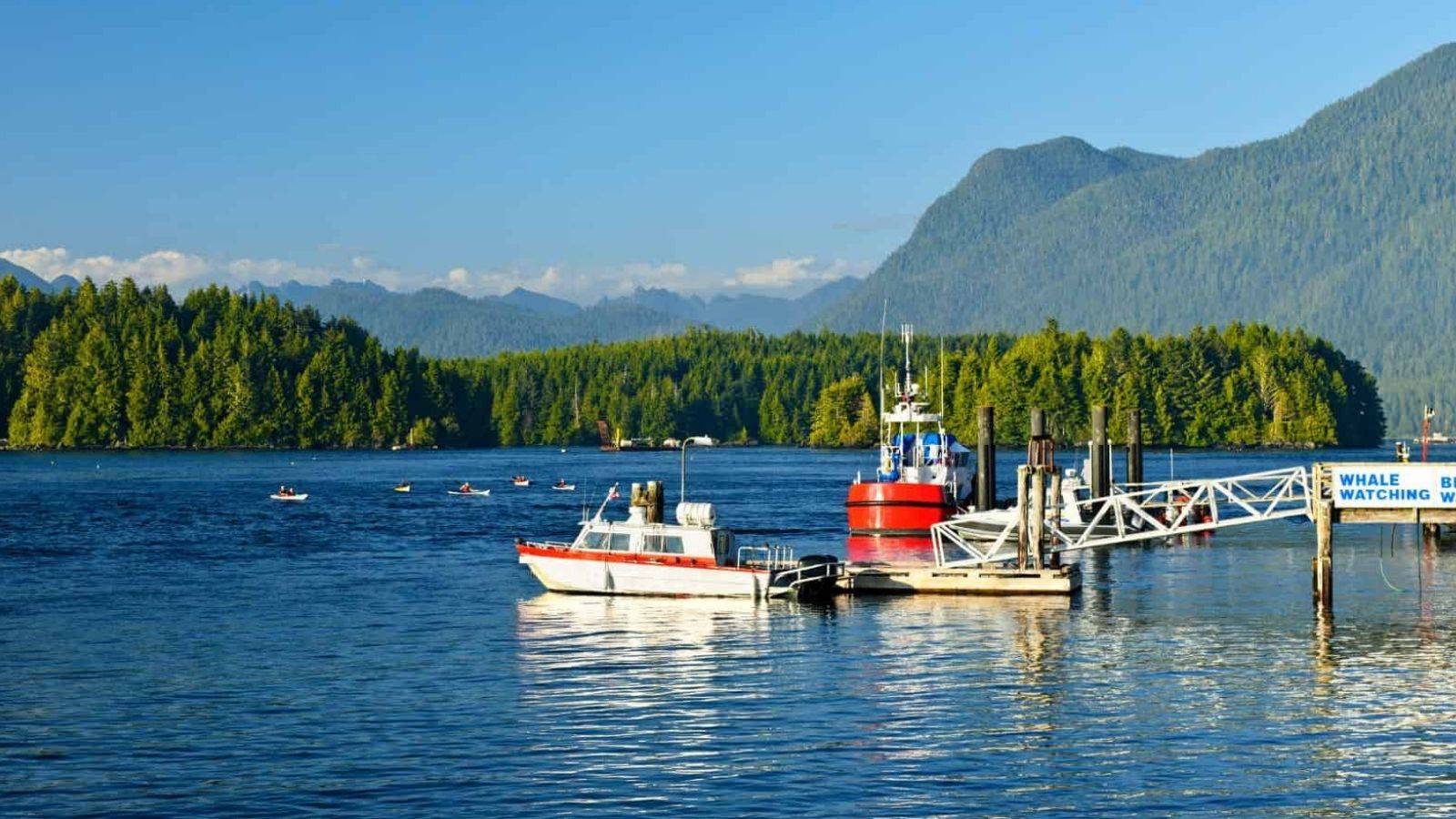 Two boats at a pier on a calm lake, backed by forested hills and mountains under a clear blue sky.