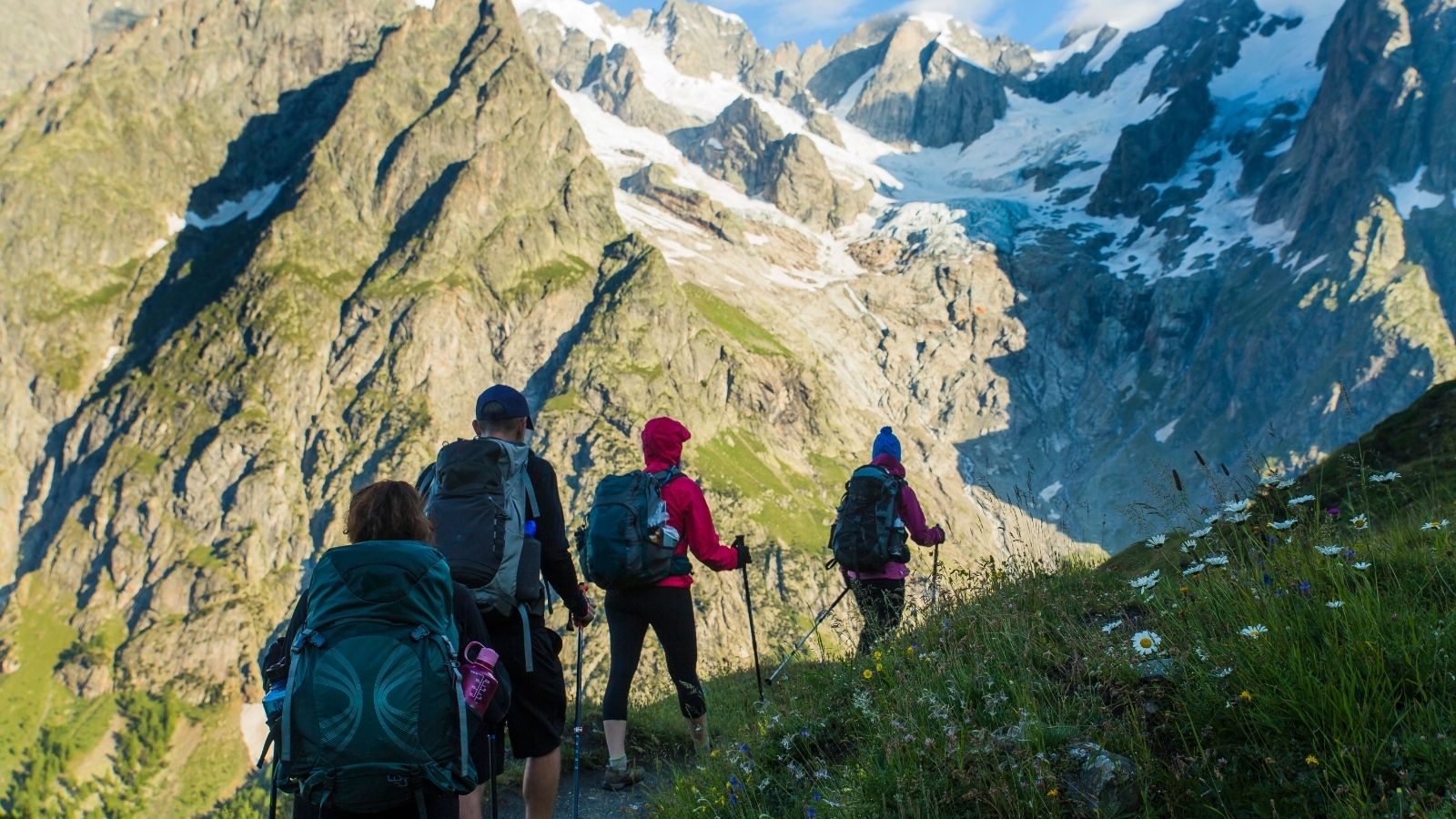 Group of hikers walking through alpine meadows with snowy peaks on the Tour du Mont Blanc.