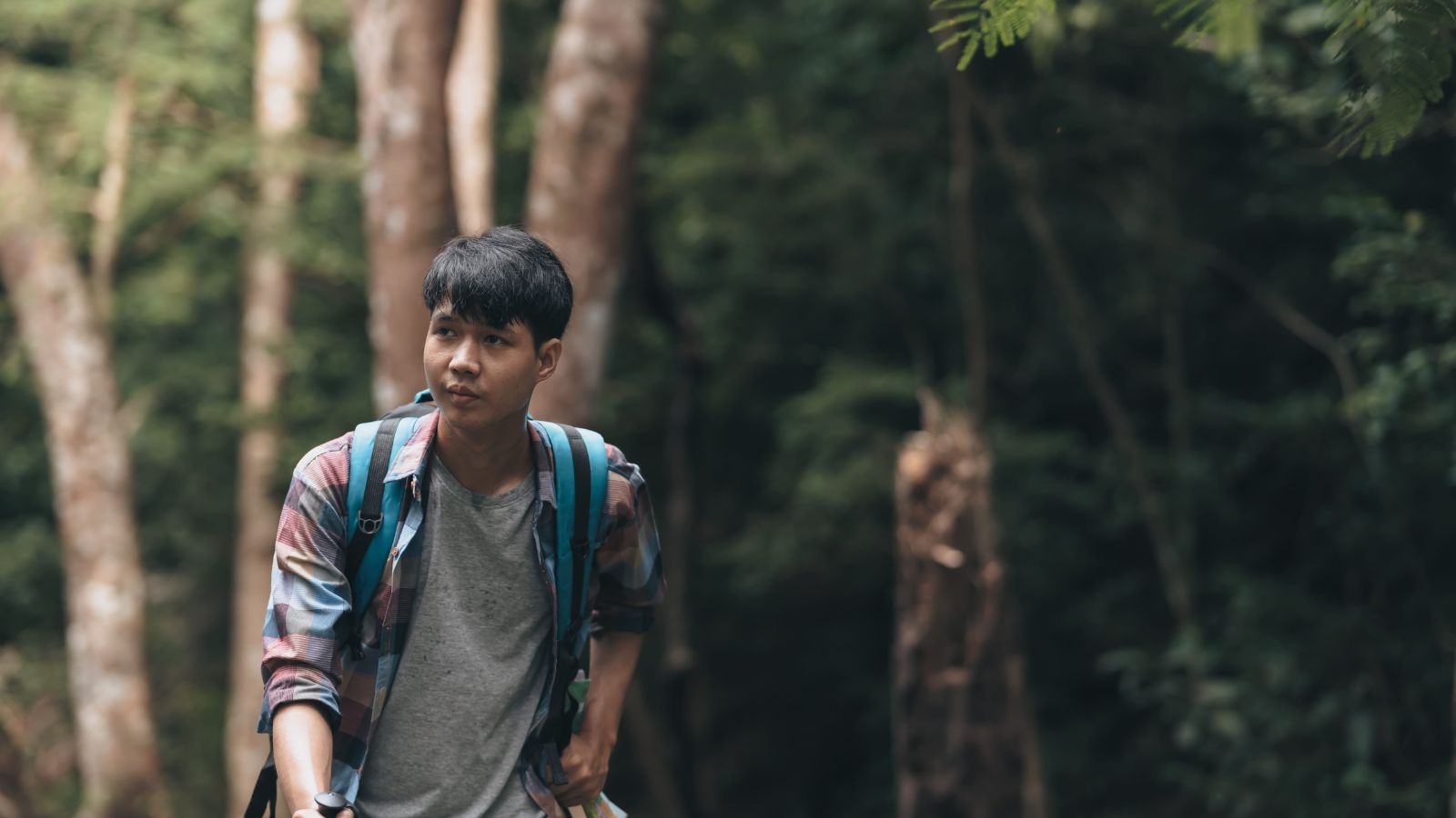 A person in a plaid shirt and backpack hikes through a dense forest, looking ahead intently.