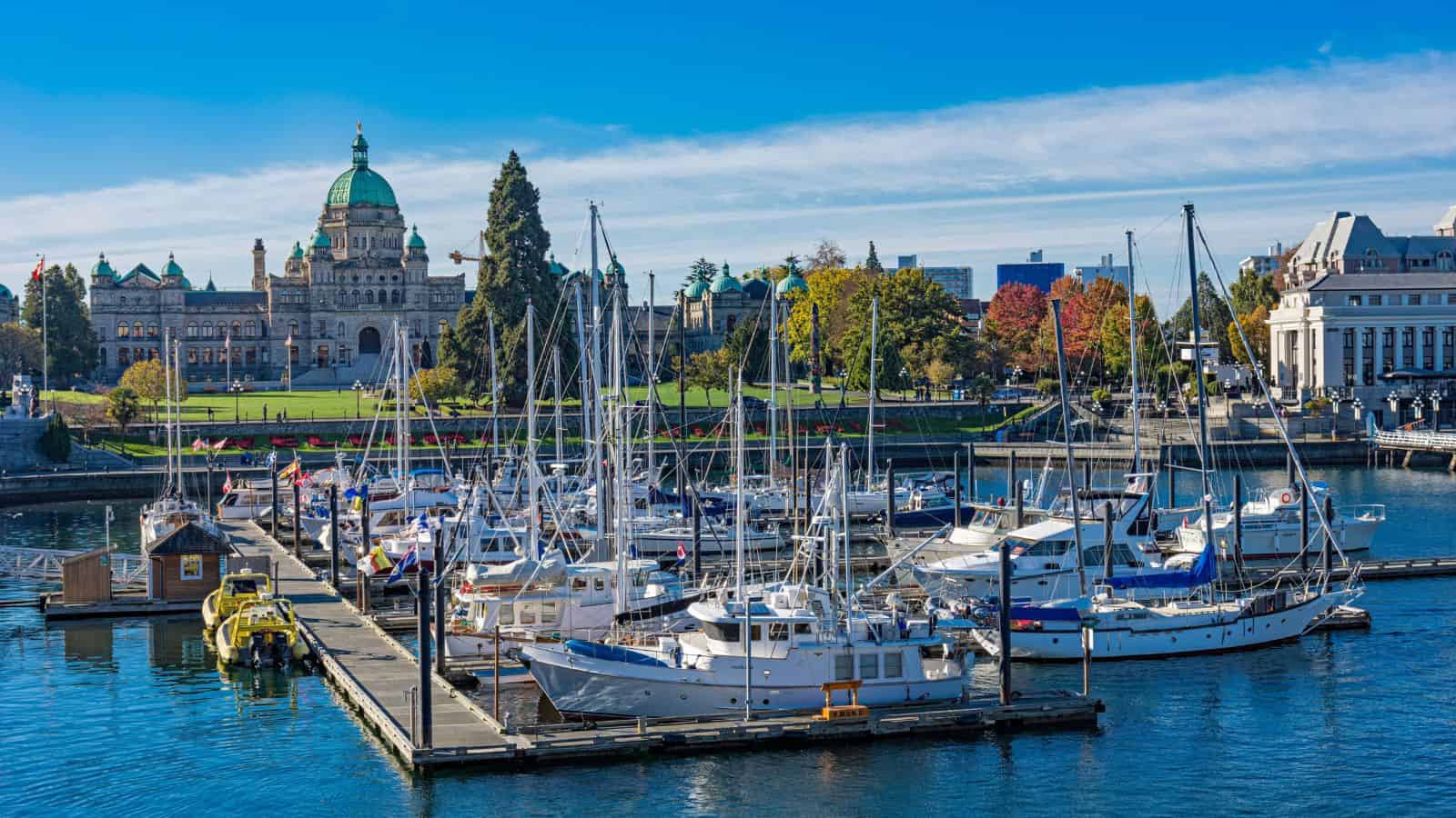 Docked sailboats and yachts fill a marina, with a historic green-domed building in the background beneath a blue sky.