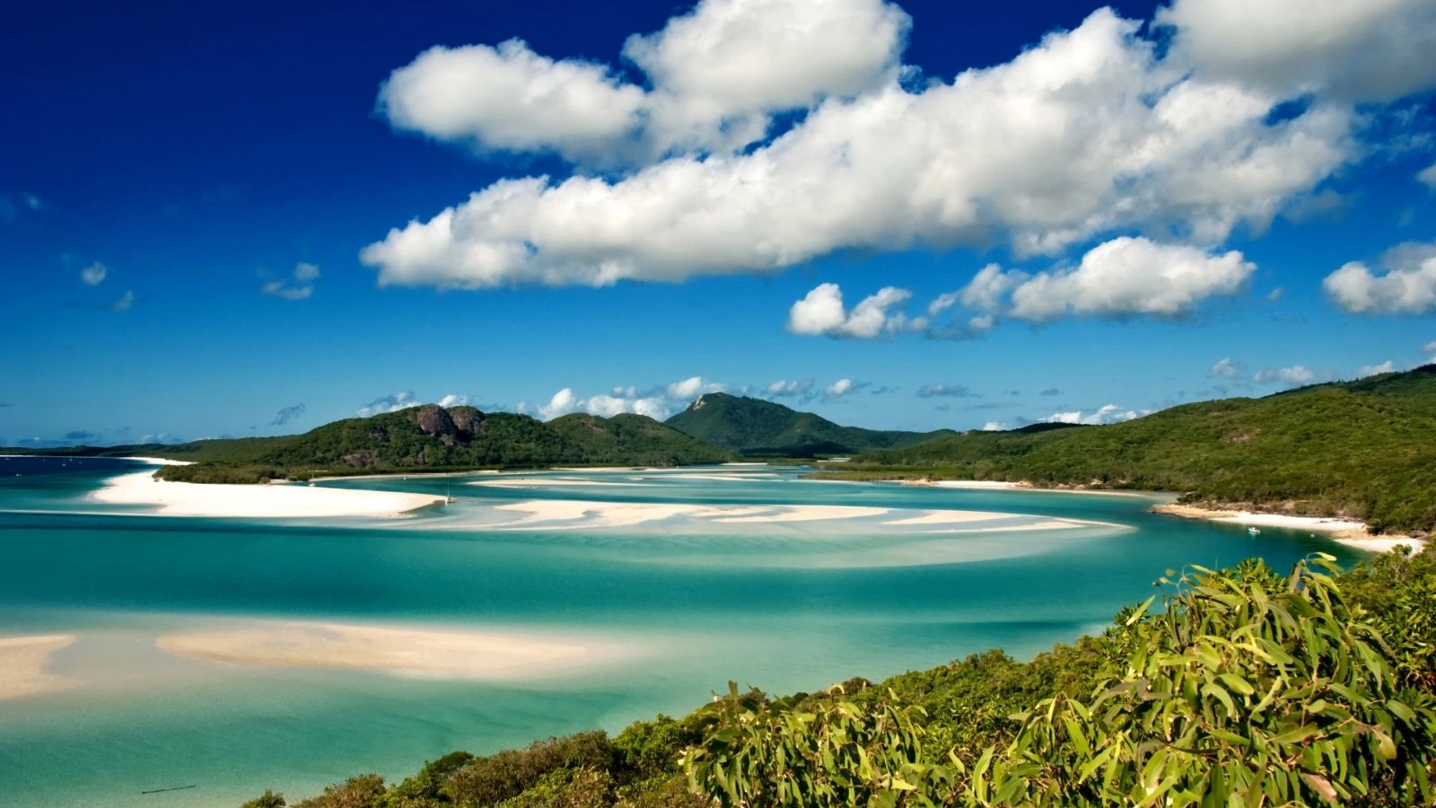 Bright white sand and shallow turquoise water at Whitehaven Beach in the Whitsunday Islands.