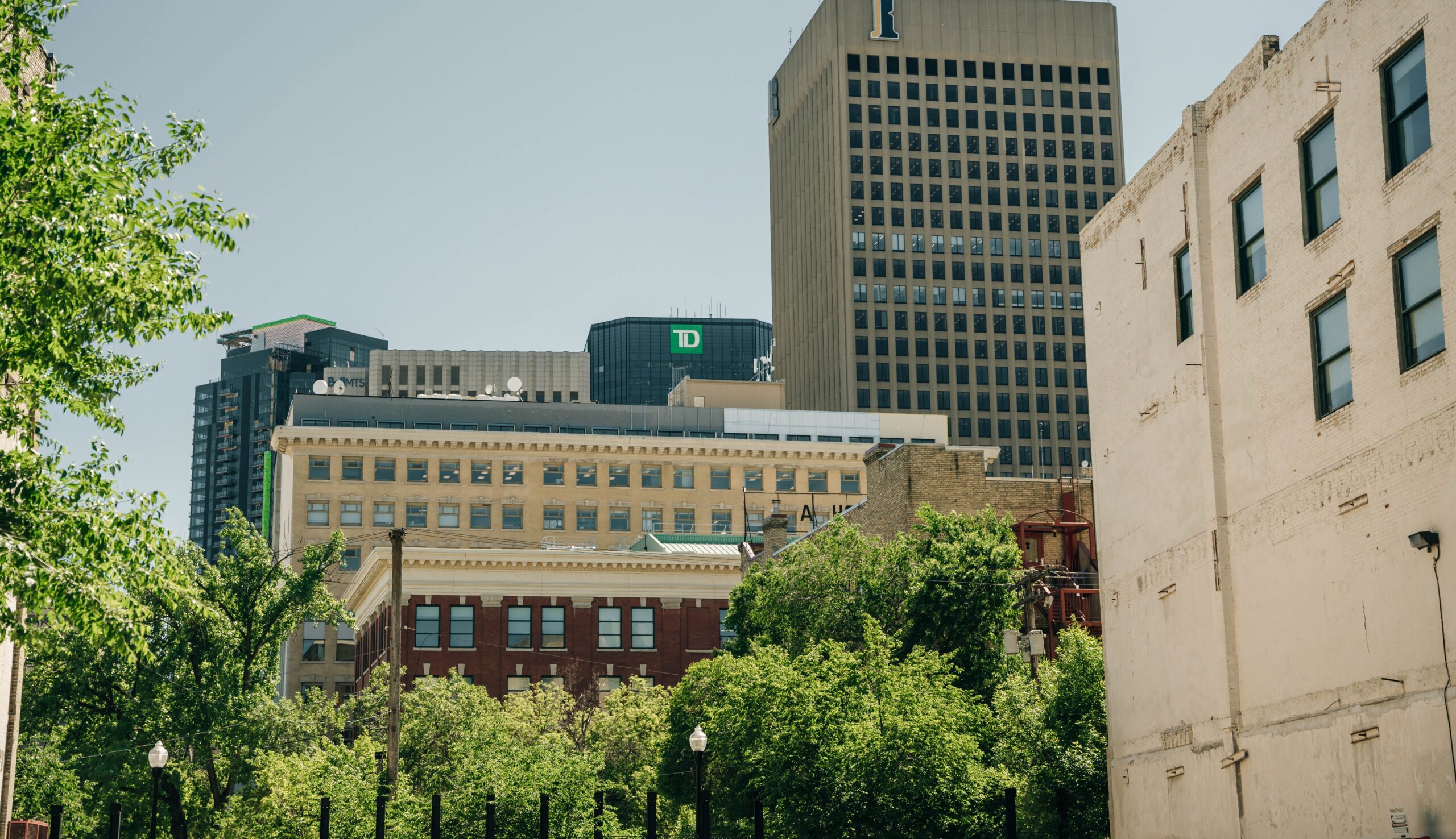 Urban mid- and high-rise office buildings with foreground trees on a clear day.
