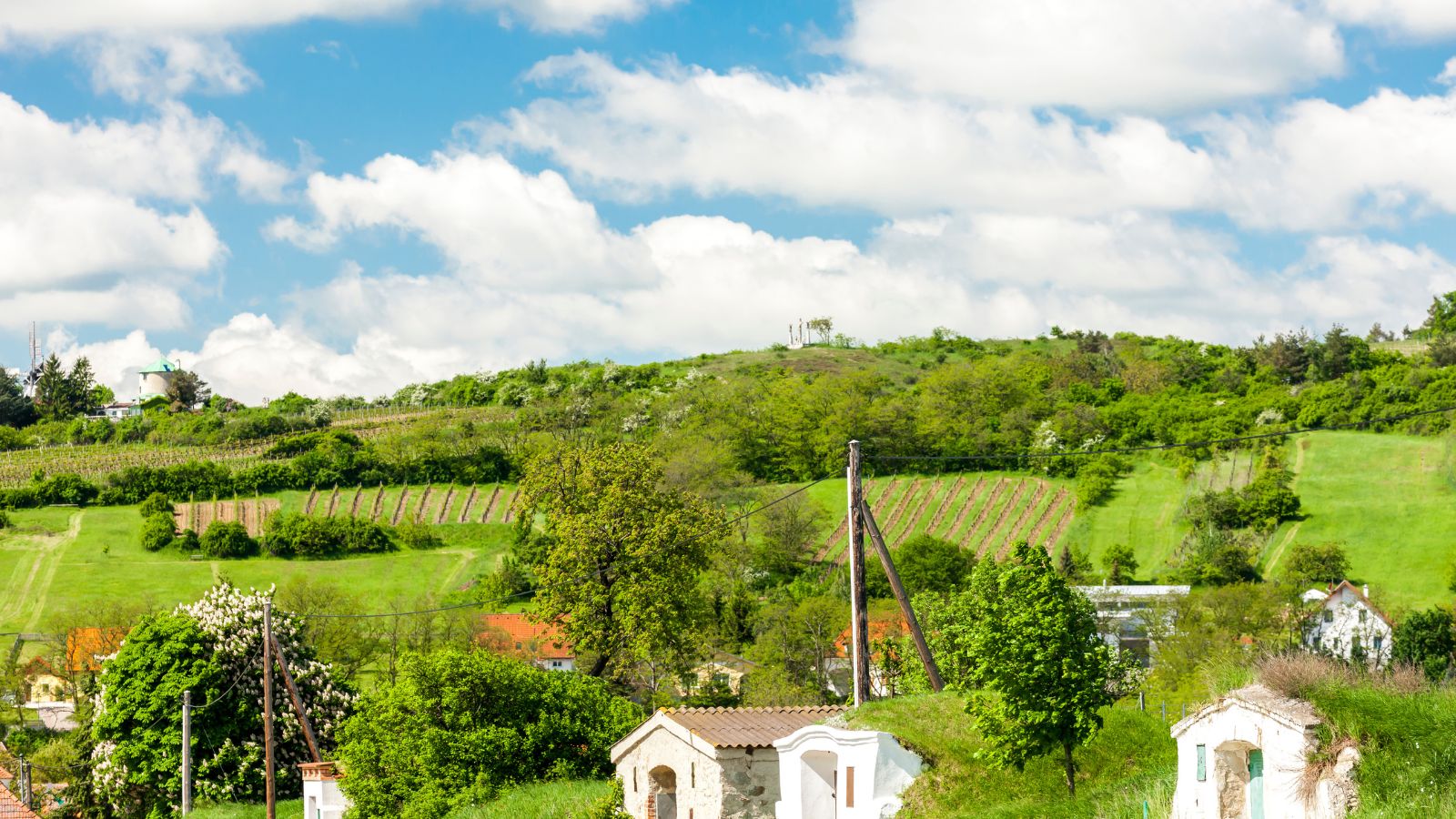 A photo that shows view from train window showing European countryside with vineyards, hills, and small villages.
